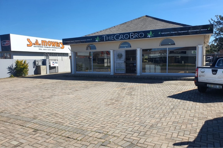 Commercial Property for Sale in Walmer Eastern Cape